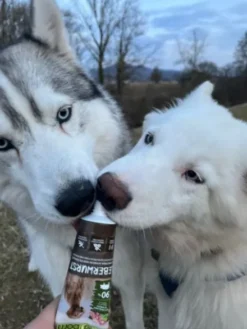 Pâté en tube pour chien avec 90% de viande de Porc 🐖 - WildBorn