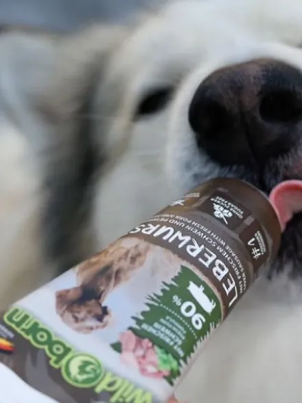 Pâté en tube pour chien avec 90% de viande de Porc 🐖 - WildBorn