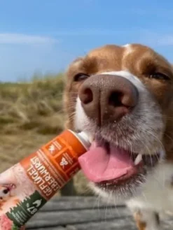 Pâté en tube pour chien avec 87% de viande de Volaille 🐓 - WildBorn