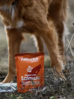 Pâtée pour chien - Recette au Poulet 🐓 et Saumon 🐟 (66%) - Naturea