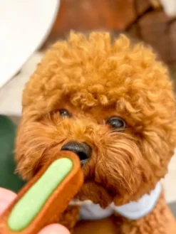 Pâtisserie pour chien - Le Moelleux Hygiène bucco-dentaire - Delamour