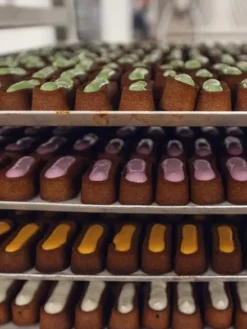 Pâtisserie pour chien - Le Moelleux Immunité - Delamour