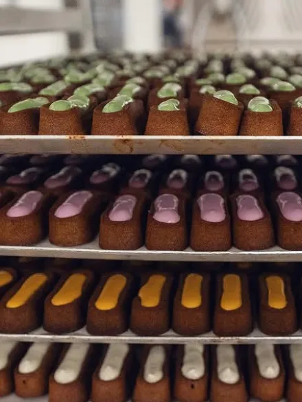 Pâtisserie pour chien - Le Moelleux Immunité - Delamour