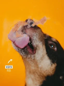 Pâté Vegan en tube pour chien - Vegdog