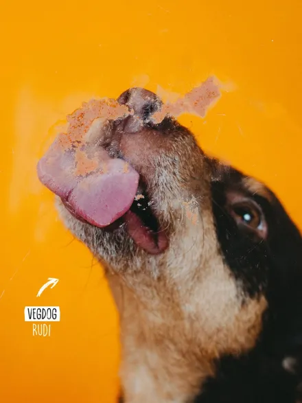 Pâté Vegan en tube pour chien - Vegdog