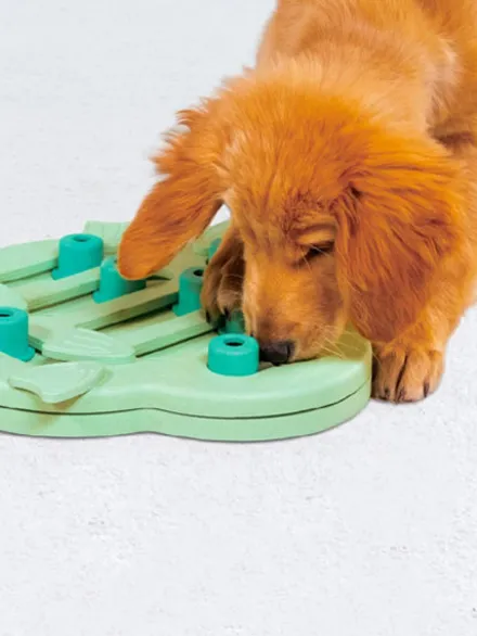 Puzzle interactif pour chiot - Puppy Hide N' Slide - Nina Ottosson