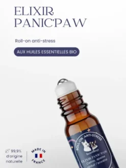 Roll-on anti-stress pour chien Panic’paw - Dexter & Mango