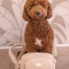 Sac de balade avec anse en sherpa - Beige - Floof and Cookies