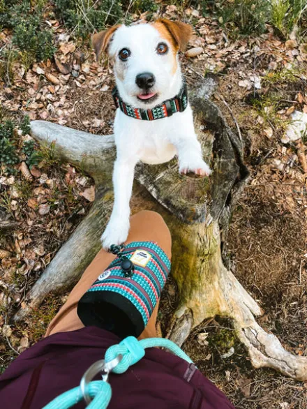 Sac à friandises pour chien motif Woodland - Woolly Wolf