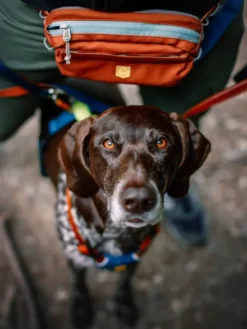 Sacoche de balade Alpha 360 Hip Pack - Terracotta Mix