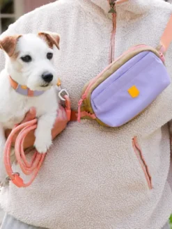 Sacoche de balade Alpha 360 Hip Pack - Lavender Mix