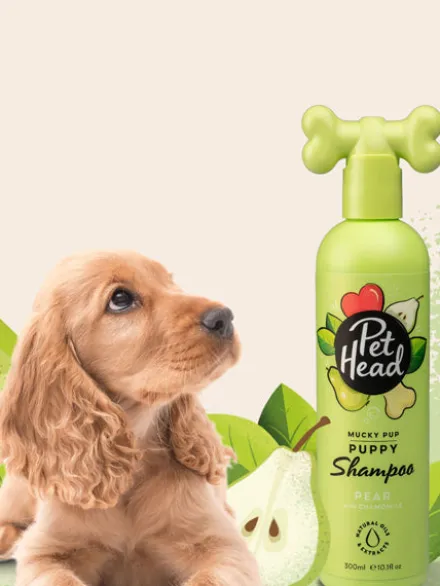 Shampoing délicat pour chiot - Poire 🍐