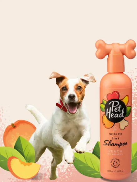 Shampoing pour chien 2 en 1 - PĂȘche đ