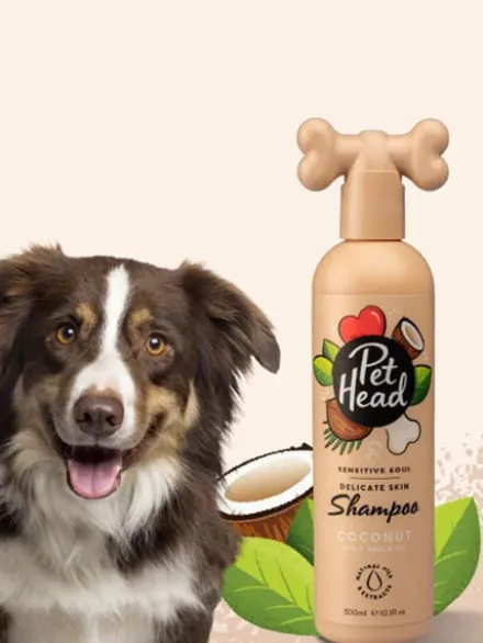 Shampoing pour chien Ă la peau sensible - Noix de Coco đ„„