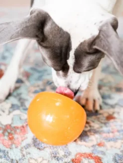 Snoop Orbee-Tuff pour chien - jouet interactif distributeur de friandises