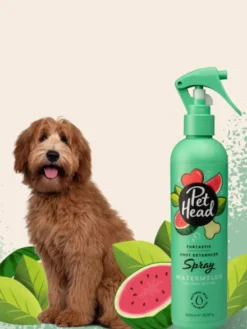 Spray sans rinçage démêlant pour chien - Pastèque 🍉