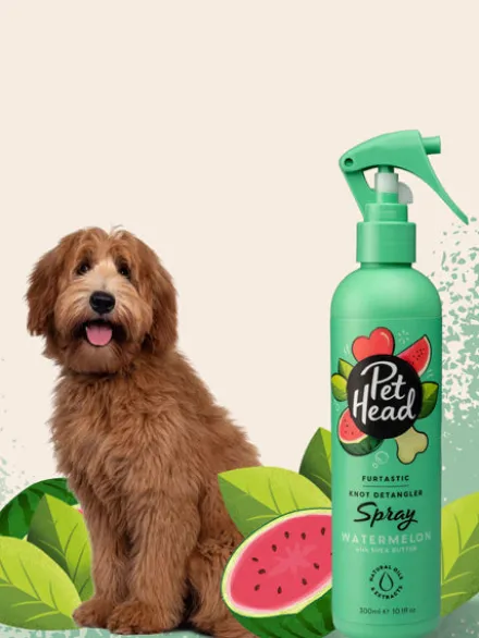 Spray sans rinçage démêlant pour chien - Pastèque 🍉