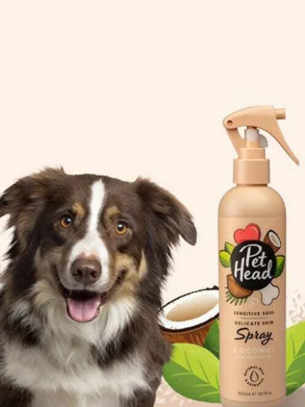 Spray sans rinçage pour chien sensible - Noix de Coco đ„„