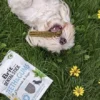 Stick dentaire pour chien - Brit Dental Stick - Teeth & Gums 🦷