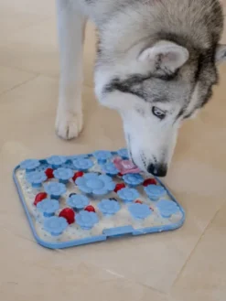 Tapis de fouille et de léchage pour chien - Daisy Mat 🌼 Peach - inooko