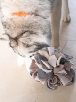 Tapis de fouille pour chien - Sniffing Ball - Gris chiné