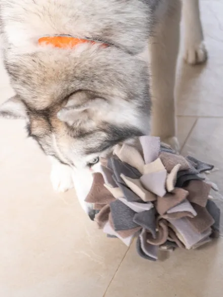 Tapis de fouille pour chien - Sniffing Ball - Gris chiné