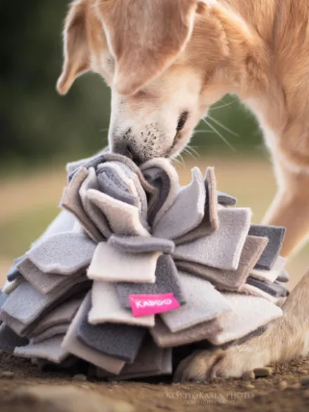 Tapis de fouille pour chien - Sniffing Ball - Gris chiné