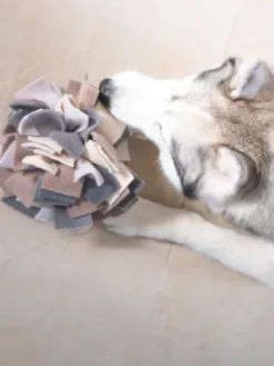 Tapis de fouille pour chien - Sniffing Ball - Gris chiné