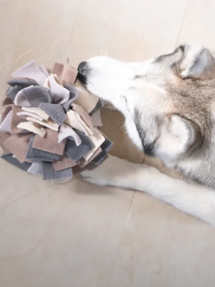 Tapis de fouille pour chien - Sniffing Ball - Gris chiné