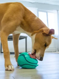 Tapis de léchage oscillatoire pour chien - KONG Licks Rewards
