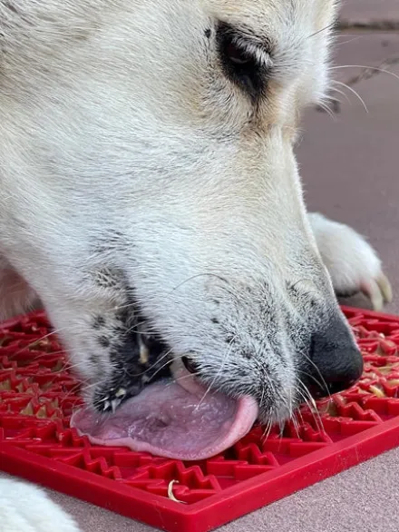 Tapis de léchage pour chien et chat - Sapin rouge 🎄 - SodaPup