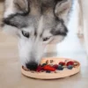 Tapis de léchage 🍕 pour chien et chat - YoomY Pizza - inooko