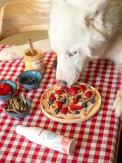 Tapis de léchage 🍕 pour chien et chat - YoomY Pizza - inooko