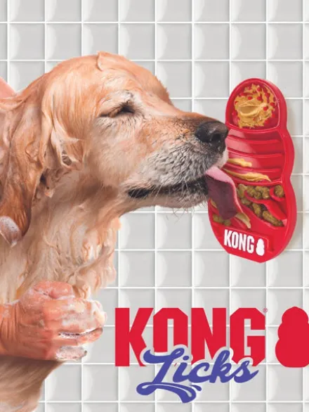 Tapis de léchage pour chien - KONG Lick treat dispenser
