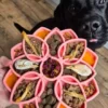 Tapis de léchage pour chien - Mandala Softie Rose Clair - SodaPup