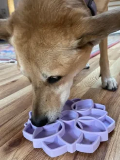 Tapis de léchage pour chien - Mandala Softie Violet Clair - SodaPup