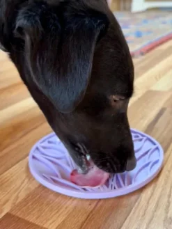 Tapis de léchage pour chien - Tulipe eMat - SodaPup