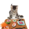 Tapis interactif de fouille pour Chat - KONG Pull-A-Partz Sushi 🍣