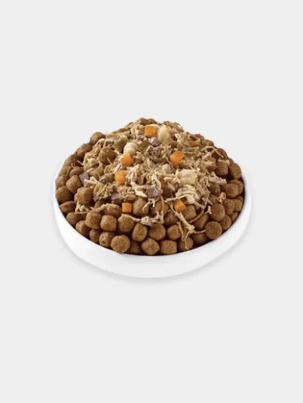 Topping en sauce pour chien - Agneau 🐑 et carotte 🥕 - Applaws