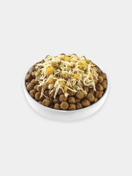 Topping en sauce pour chien - Poulet 🐓 et citrouille - Applaws