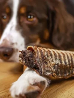 5 trachées de Boeuf fourrées aux superaliments - Cannelloni - Paul & Paulina