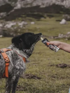 Yaourt à boire pour chien - Articulations goût poulet 🐓 - Yow Up !
