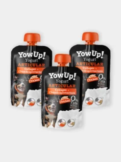 Yaourt à boire pour chien - Articulations goût poulet 🐓 - Yow Up !