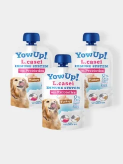 Yaourt à boire pour chien - Boost immunitaire à la Dinde🦃 - Yow Up !
