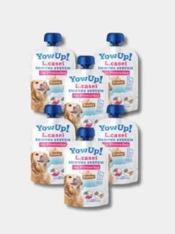 Yaourt à boire pour chien - Boost immunitaire à la Dinde🦃 - Yow Up !