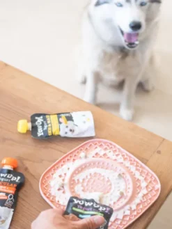 Yaourt à boire pour chien - Pelage goût Saumon 🐟 - Yow Up !