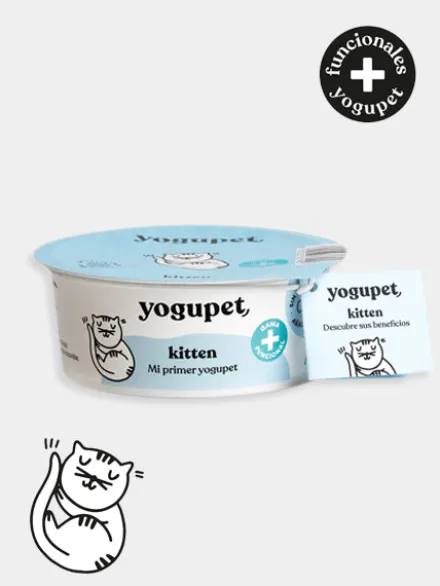 Yaourt riche en protéine spécial chaton - Yogupet